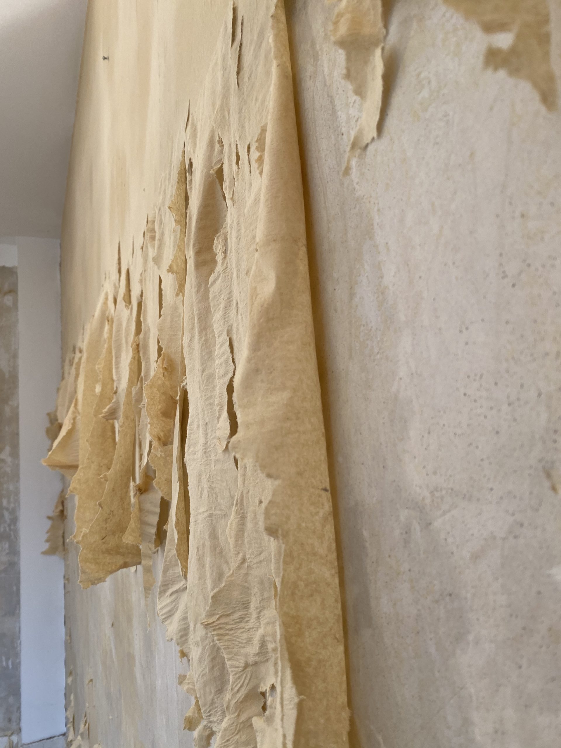 Dépose de papiers peints